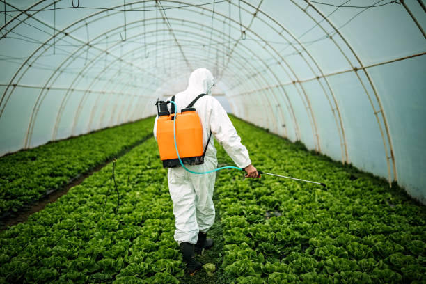 Best Best Pest Control Companies  in , SC