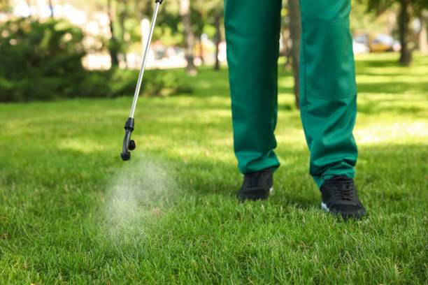 Best Mosquito Control Services  in , SC