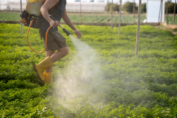 Best Pest Control Cost  in , SC