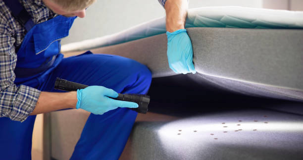 Best Flea Control Services  in , SC