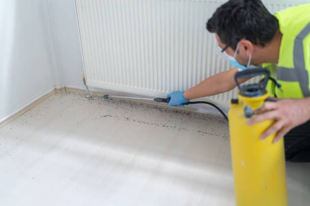 Best Pest Prevention Services  in , SC