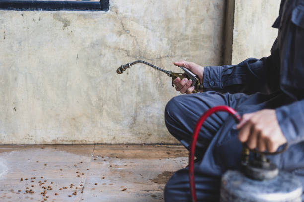 Best Local Pest Control Services  in , SC